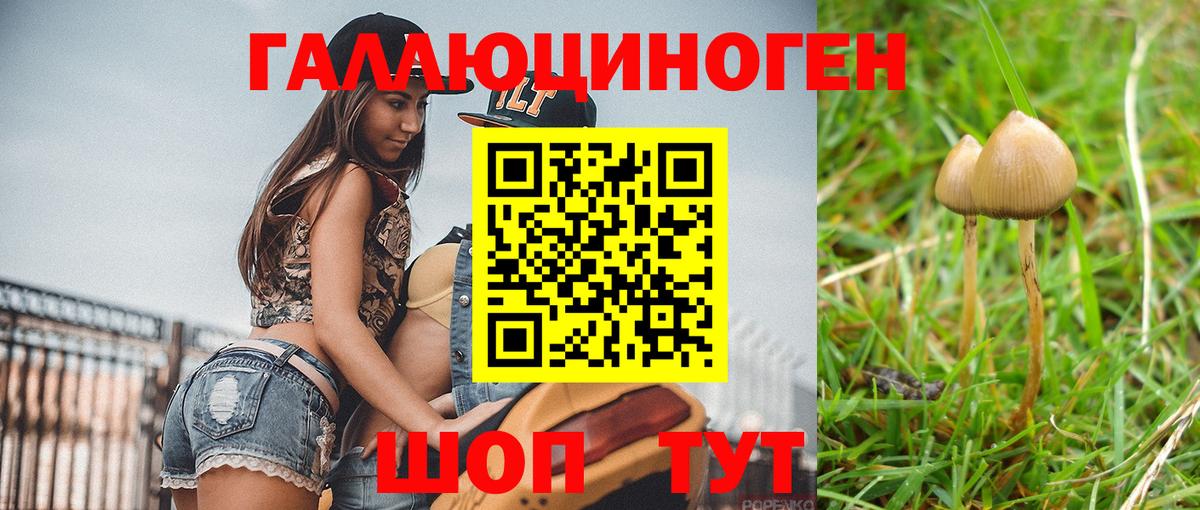 Кострома  Галлюциногенные грибы мицелий  Вход с VPN 