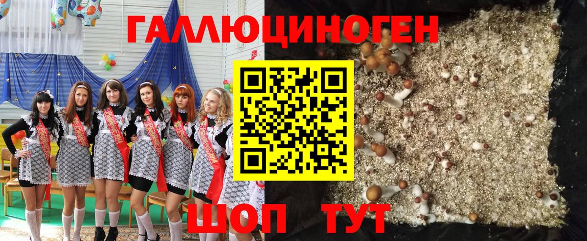 Псилоцибиновые грибы Psilocybine cubensis Кострома